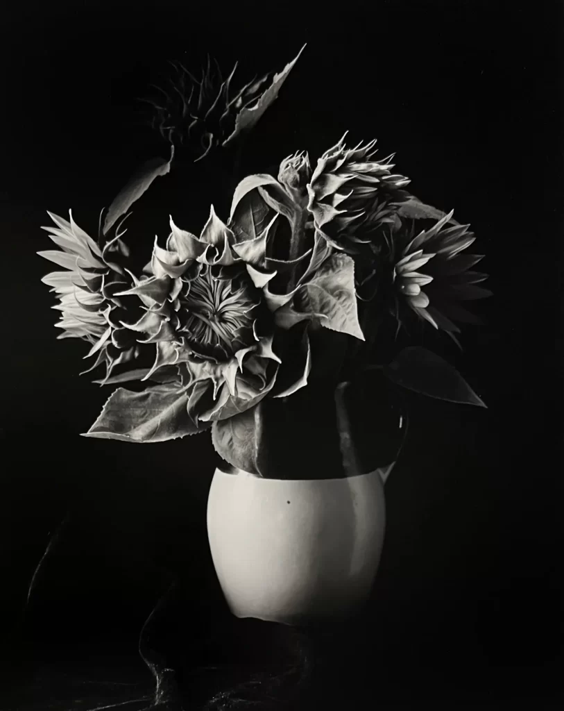 Paul Caponigro - Susan Spiritus Gallery