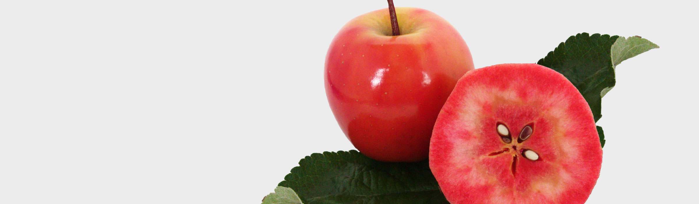 赤～いりんご｜株式会社アグリコミュニケーションズ津軽