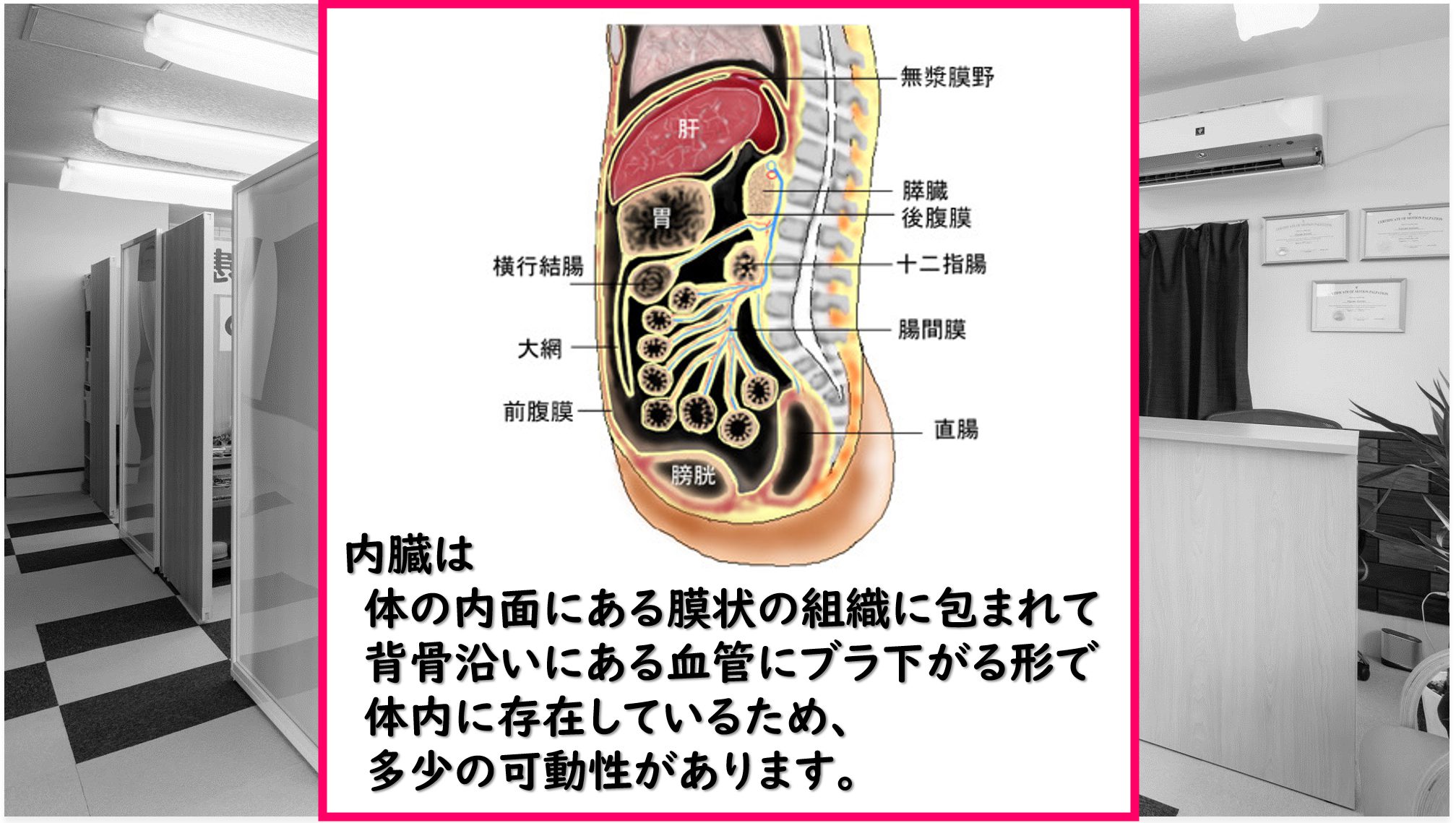 内臓マニピュレーション | 大阪府河内長野市の鍼灸院・整骨院・整体院