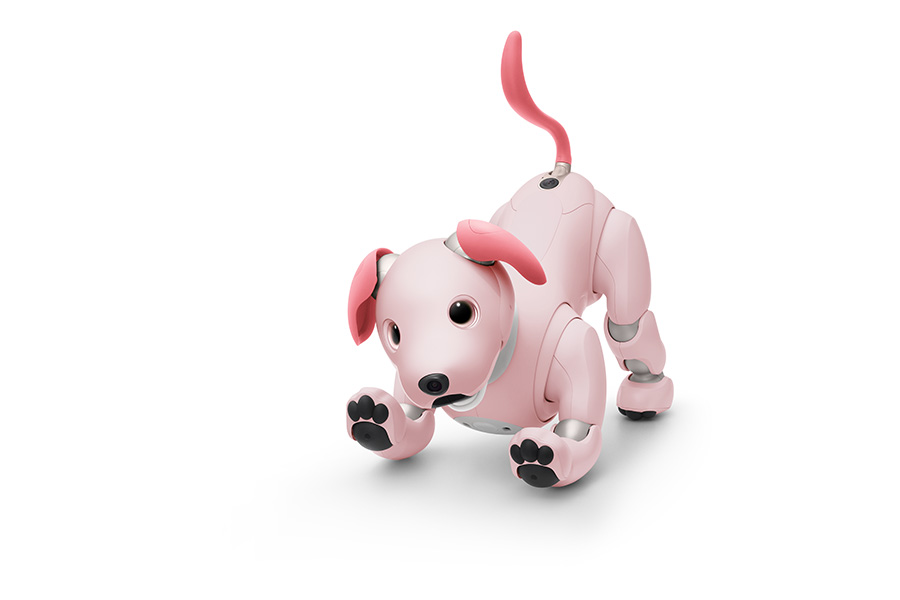 aibo いちごミルク エディション | aibo