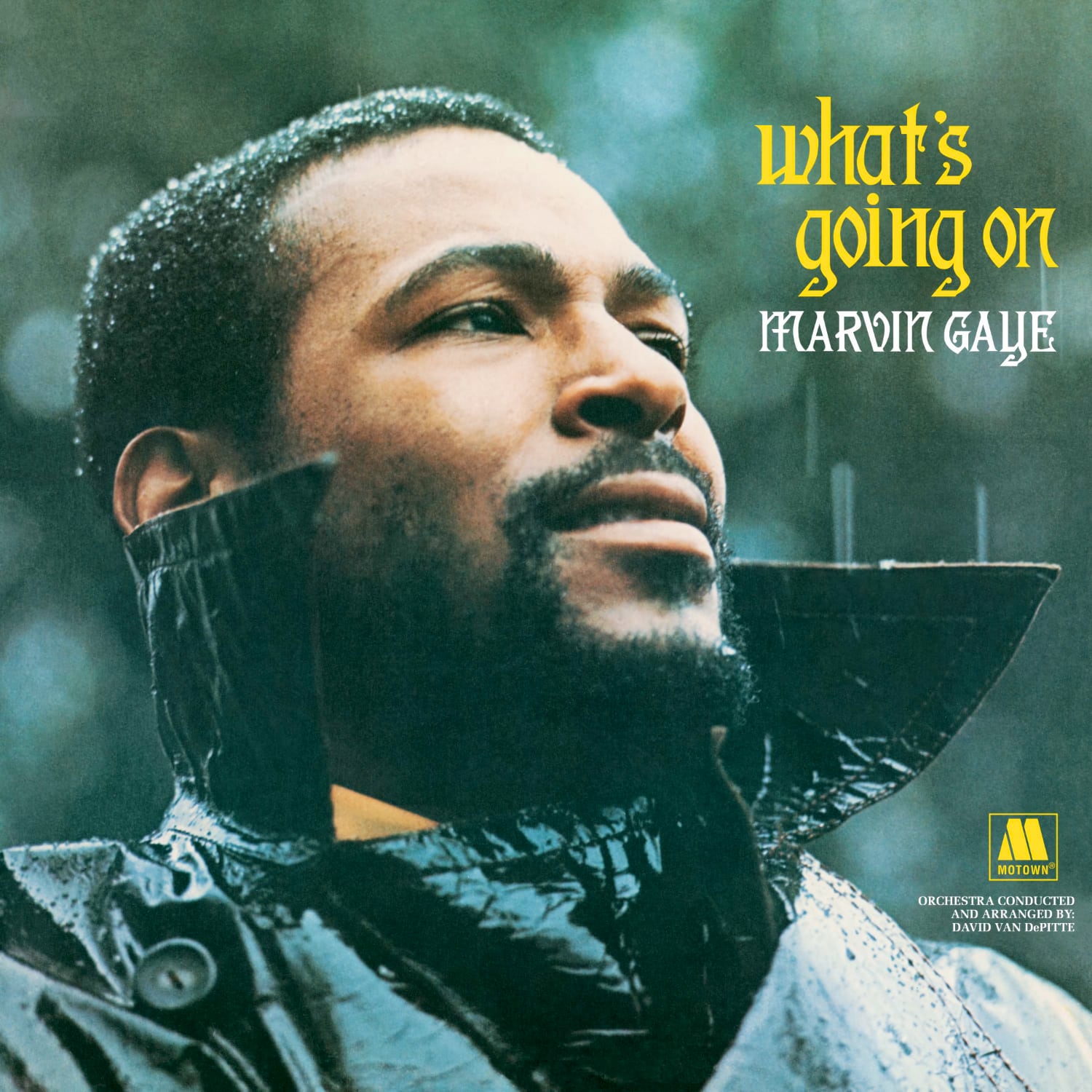 Marvin Gaye - What's Going On - ART ALBUM