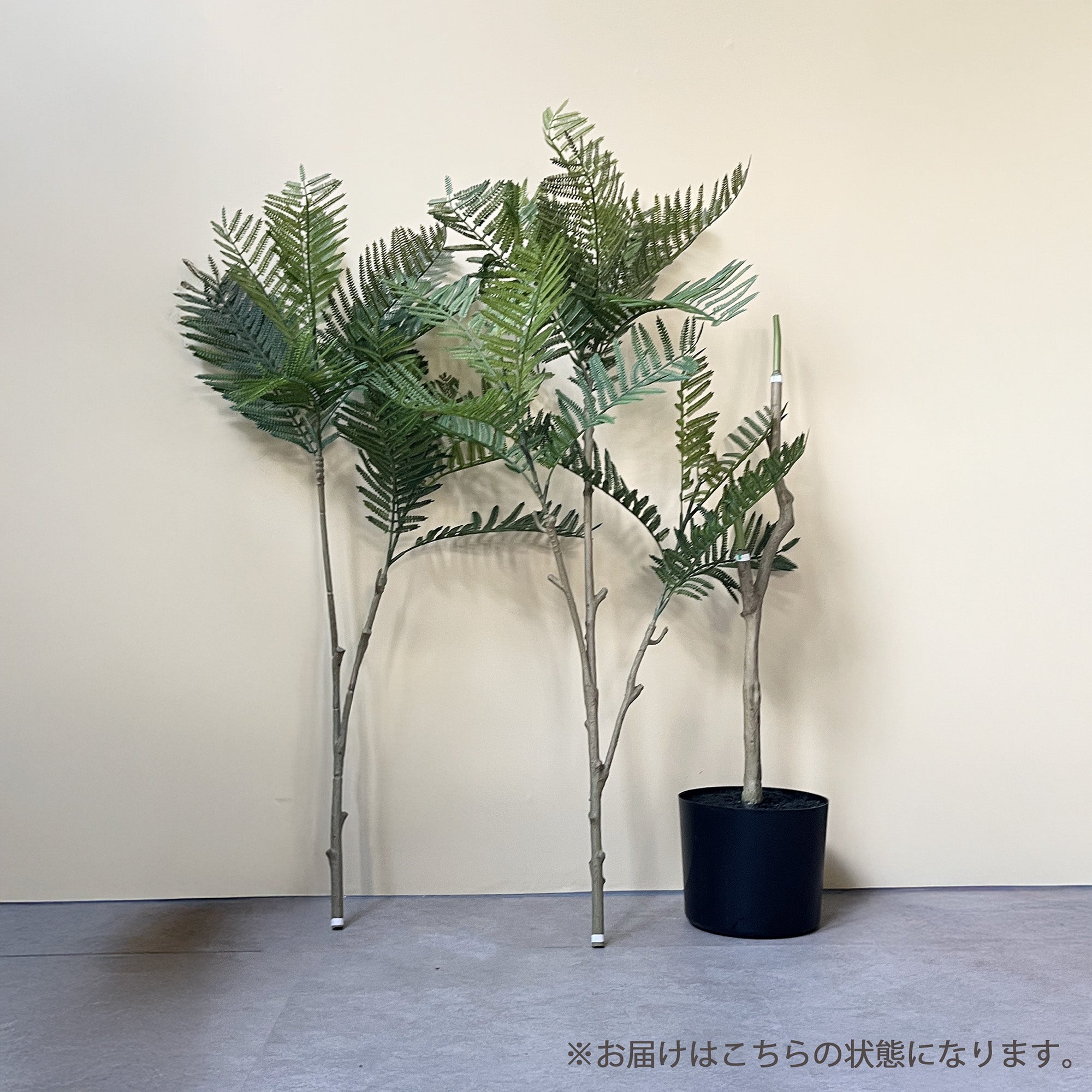 エバーフレッシュ 155cm- フェイクグリーン専用通販サイト – フェイク