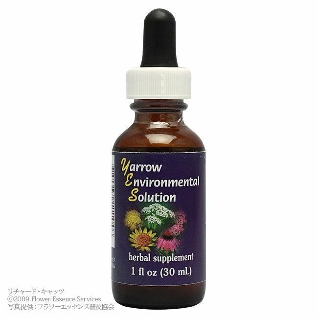 お取り寄せ】アラレタマ レインフォレスト・エッセンス 「マモア[Mamo