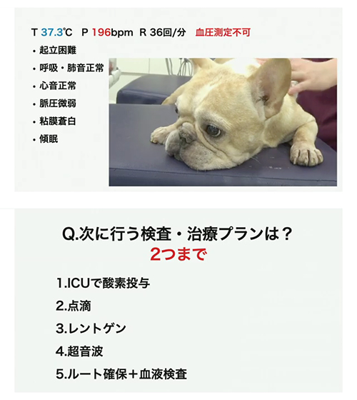 高精度ショック診断救急エコー「FAST」導入法 | 株式会社 医療情報研究所