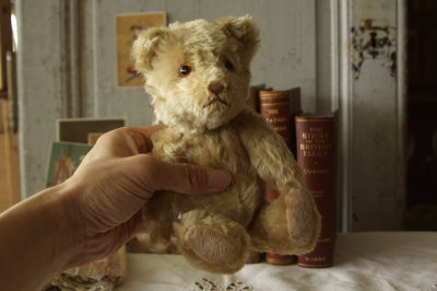 アンティークベア イギリス グラスアイ 20180718 【Antiques Truffle