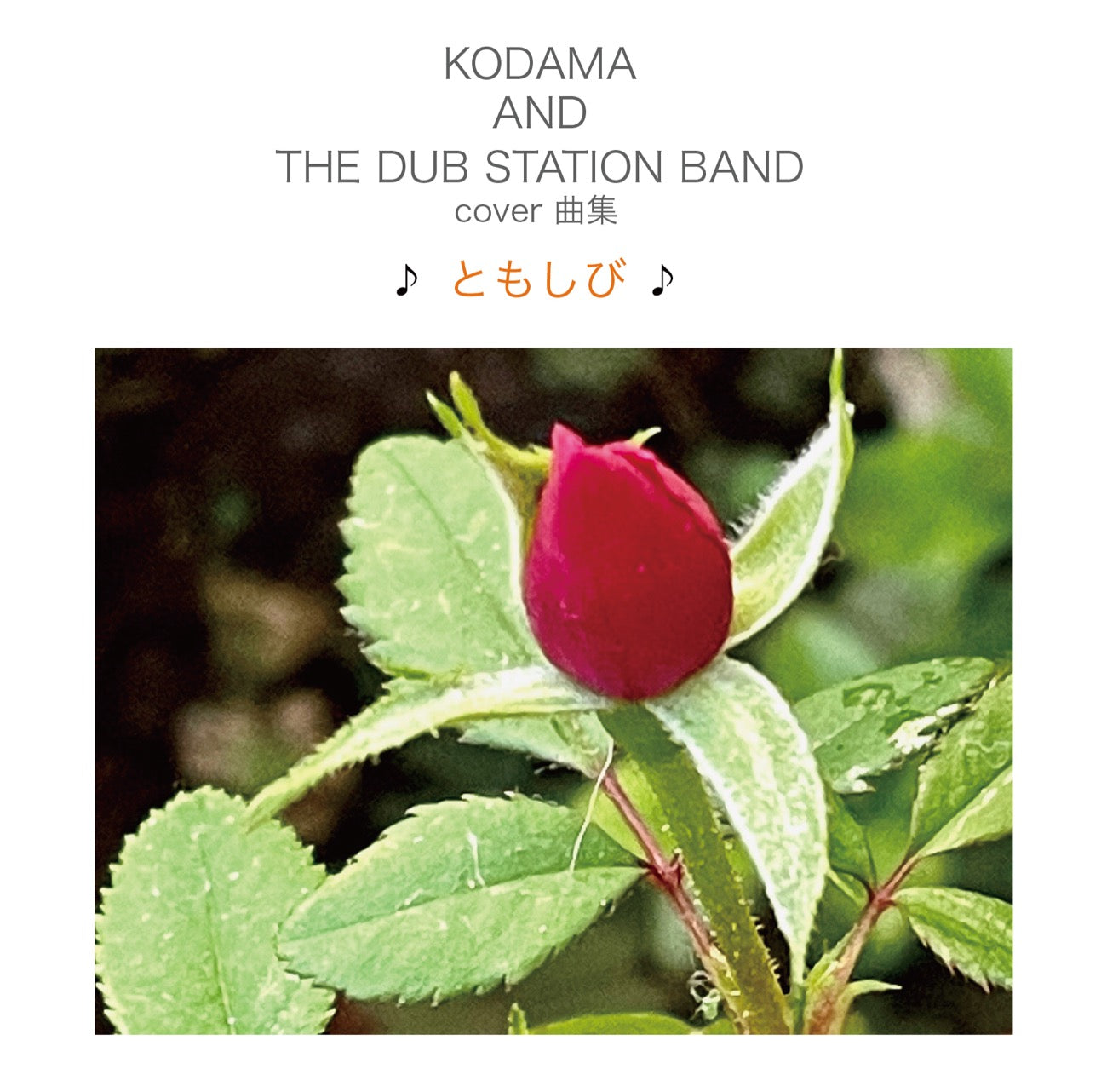 KODAMA AND THE DUB STATION BAND『COVER曲集 ♪ともしび♪』CD
