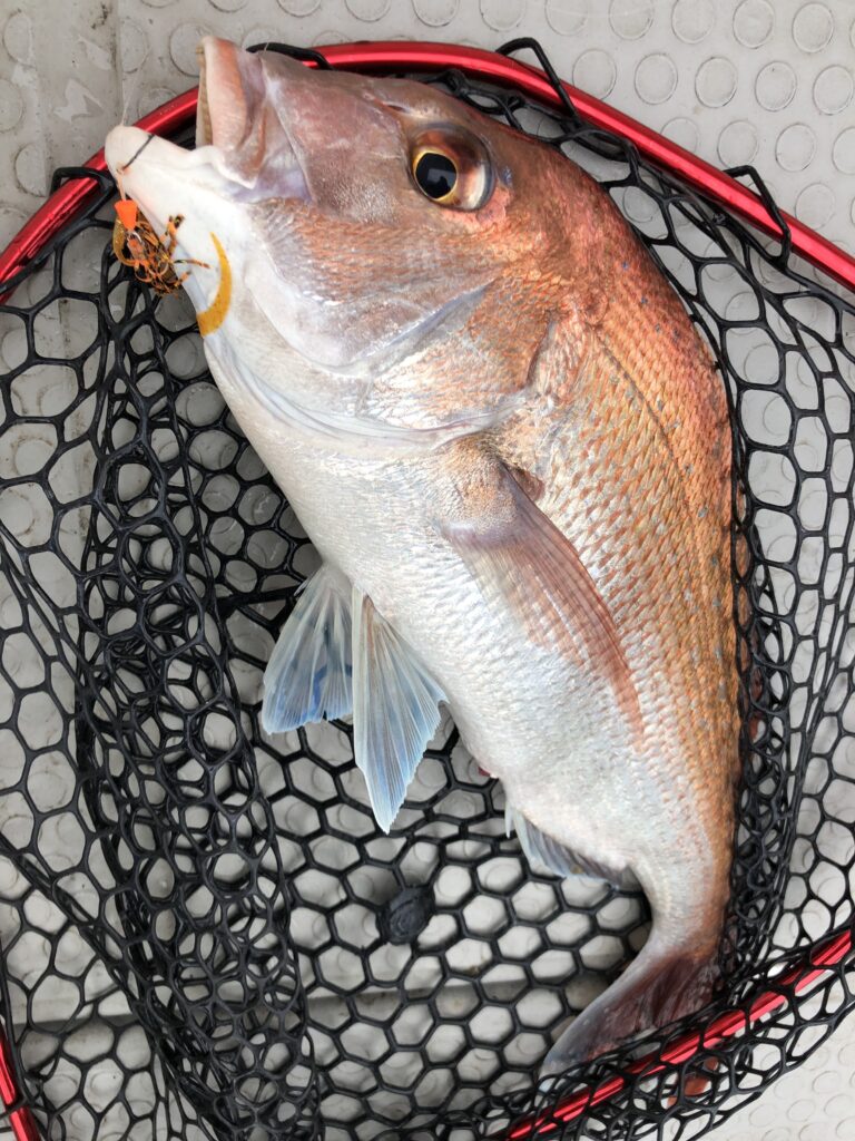 タイラバロッド紅牙EX N65LB TG(THRILL GAME)インプレ | ASAHI the