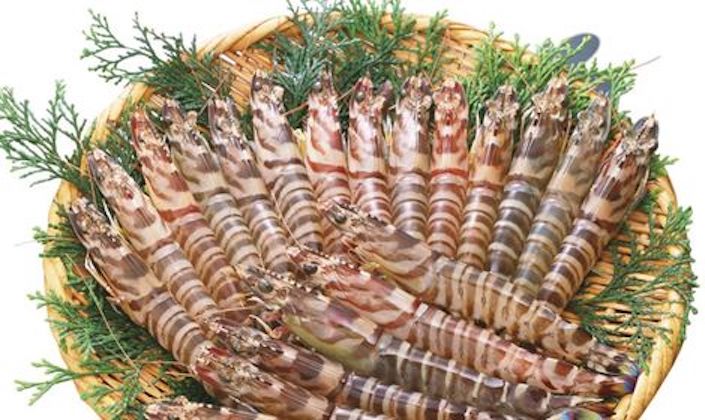 商品一覧 | 旭水産有限会社