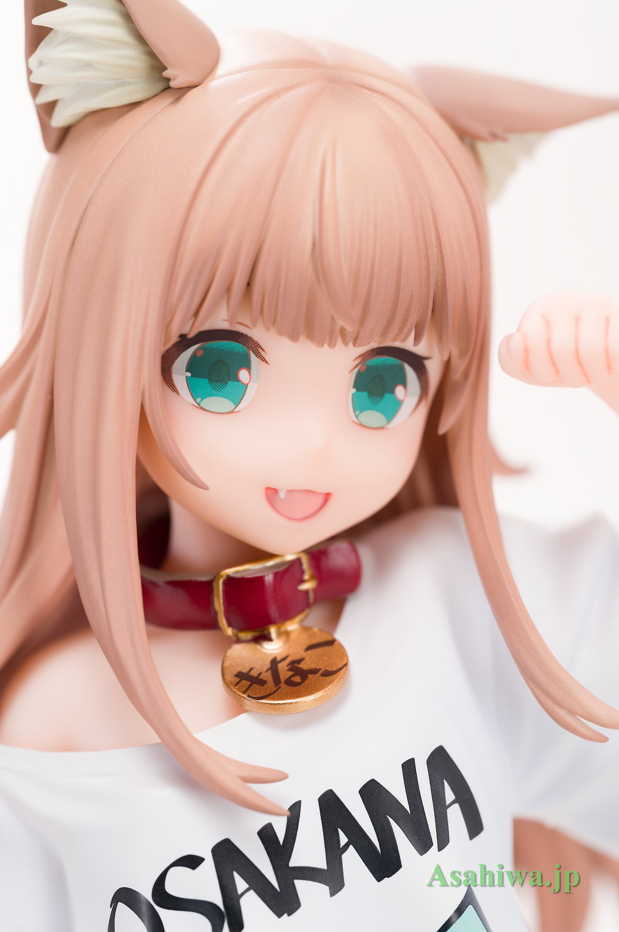 GOLDENHEAD きなこ ～おはようVer.～ あみあみ限定版 うちのねこが