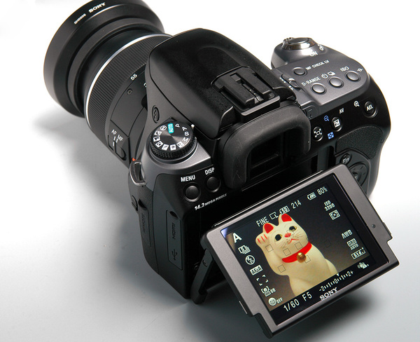 ASCII.jp：やっぱり可動式が好き！ ソニー「α550」で猫を撮る (1/2)