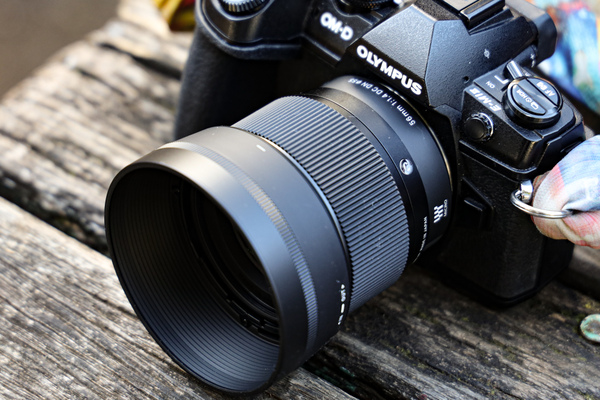ASCII.jp：オリンパス「OM-D E-M1 Mark II」と思い切って単焦点中望遠