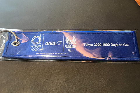 ANA、オリンピック・パラリンピック1000日前装飾開始。特製フライト