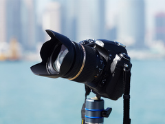 交換レンズ実写ギャラリー：タムロン「SP AF 17-50mm F2.8 XR Di II VC