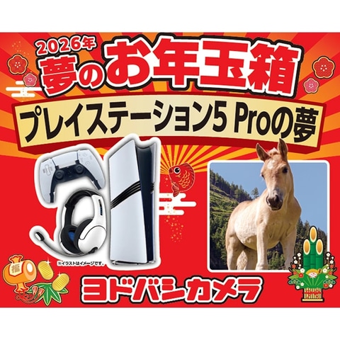 ヨドバシカメラの福袋「2026年 夢のお年玉箱」追加販売分の受付開始