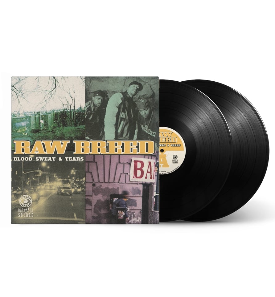 Products / Back2DaSource Records