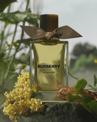 シグネチャー フレグランス｜Burberry® 公式サイト