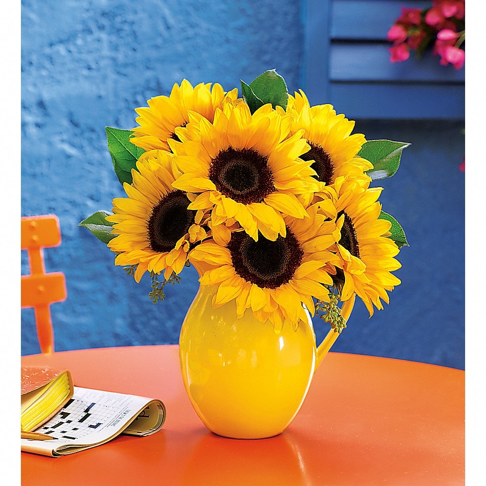 Teleflora's Sunny Day Pitcher of Sunflowers in Lake Forest IL