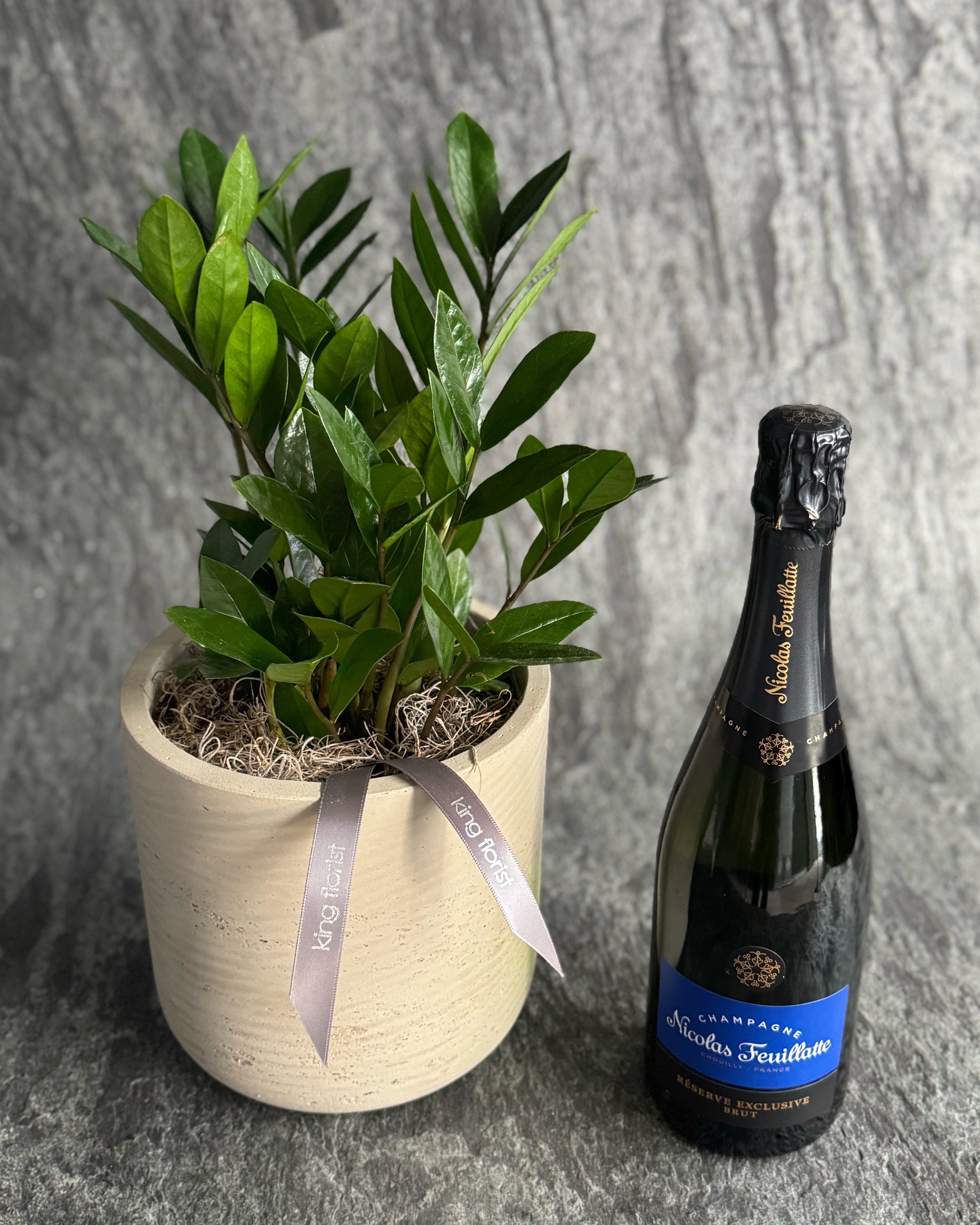 ZZ Plant in Austin TX - King Florist Of Austin