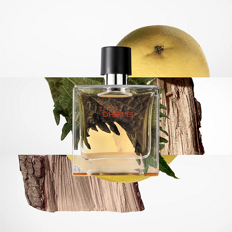 Terre d'Hermes Parfum - 75 ml | Hermès Netherlands