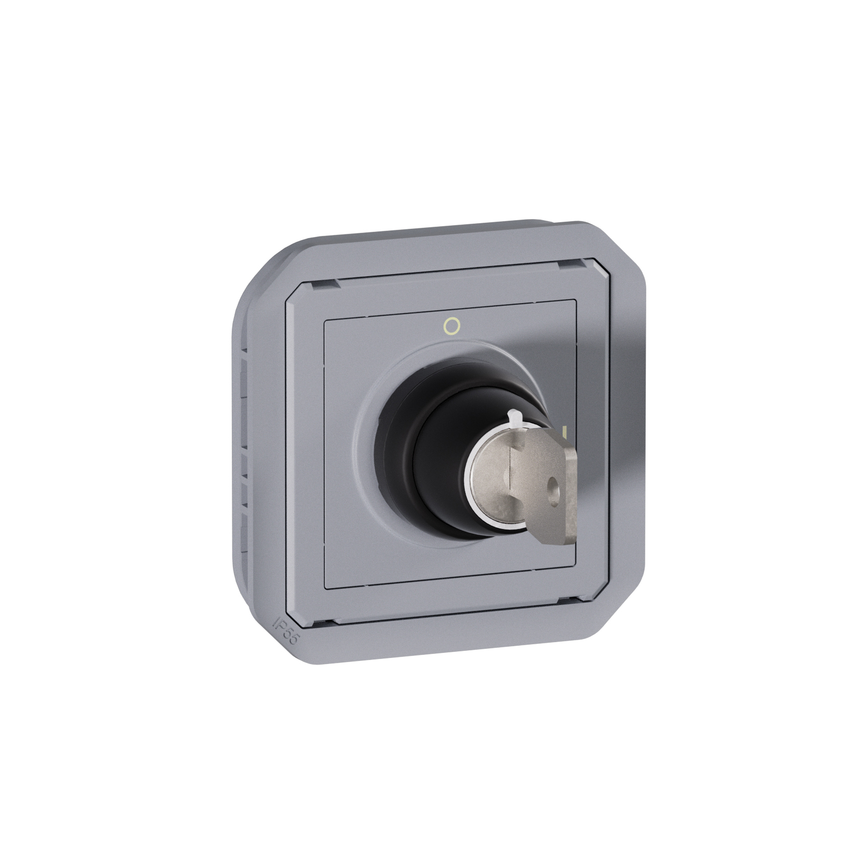 Plexo™ - ronis key operated switch 2 positions - Grey - mechanism