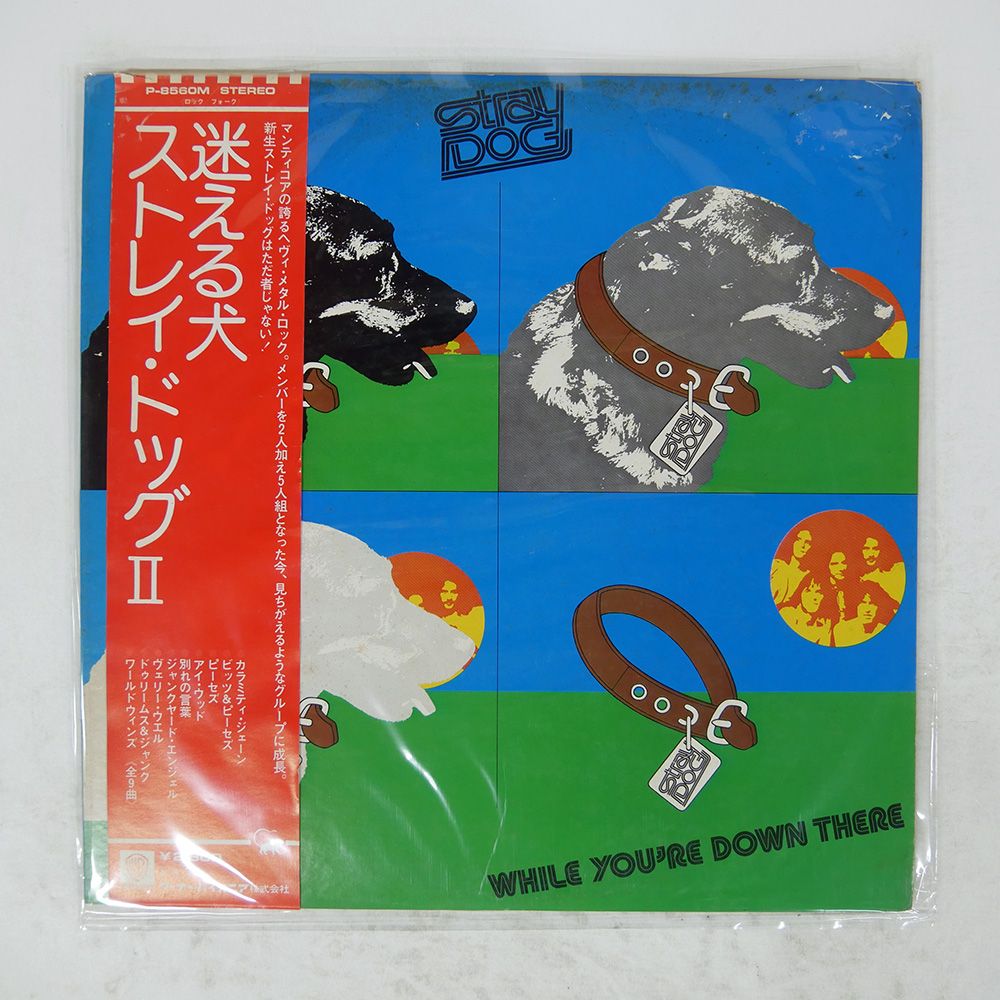 帯,見本盤 国内盤 STRAY DOG/WHILE YOU'RE DOWN THERE/MANTICORE