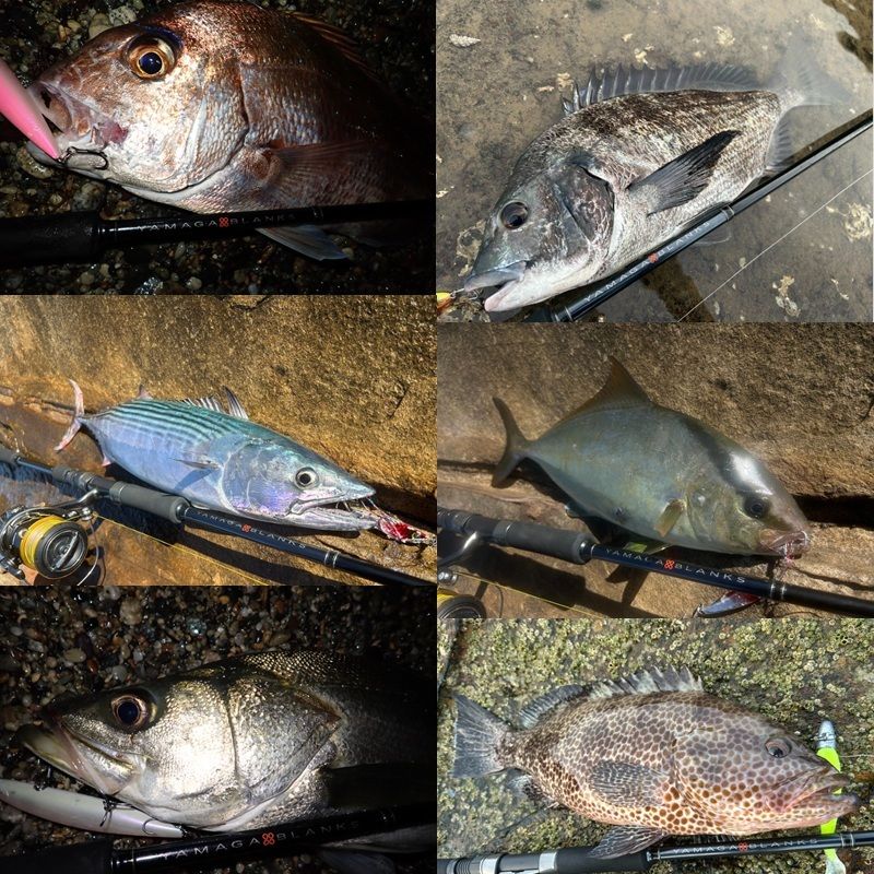 YAMAGA Blanks 88 CHAIN ヤマガブランクス88チェイン - メルカリ