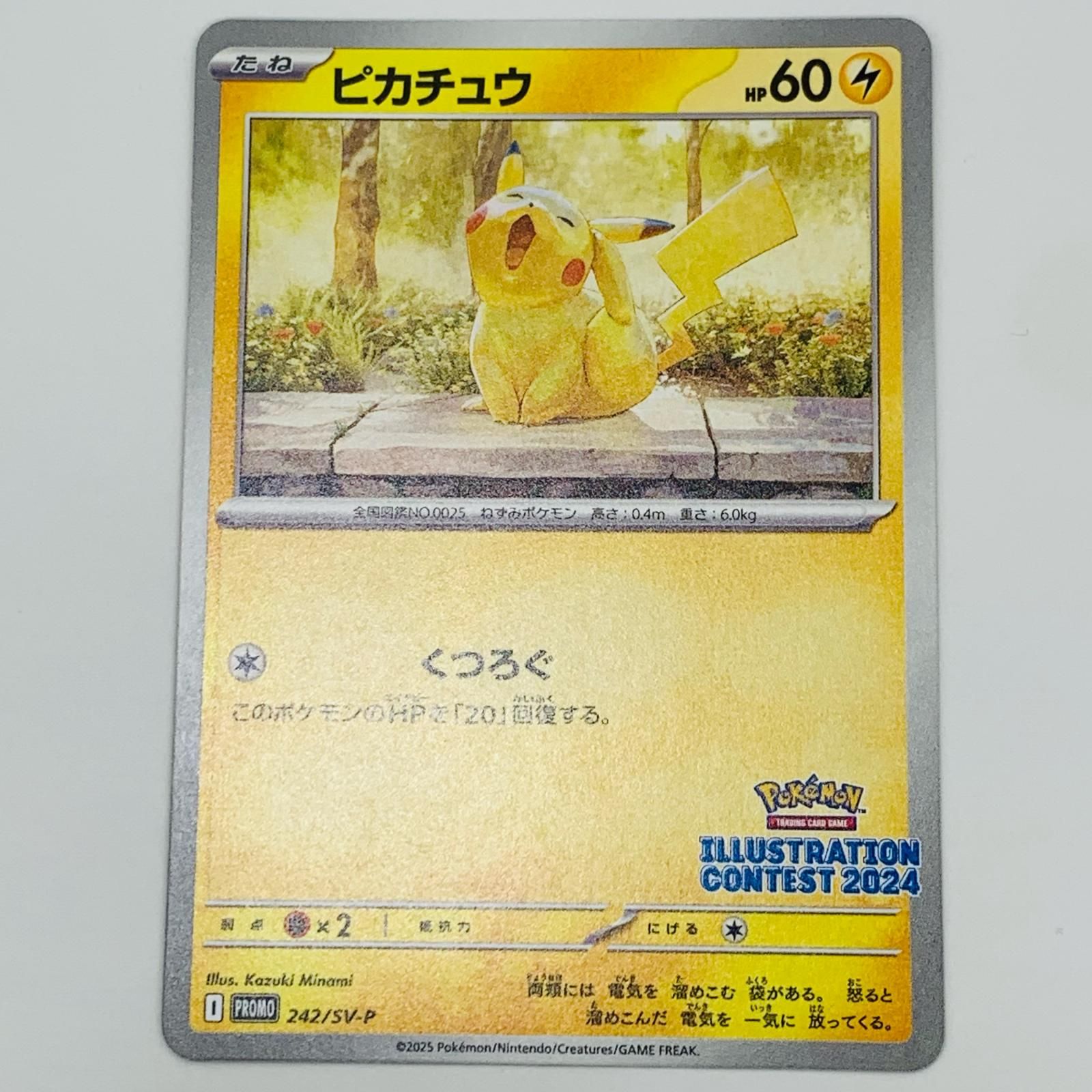 ピカチュウ イラストコンテスト2024 PSA 10 PSA 10 Pokemon Card