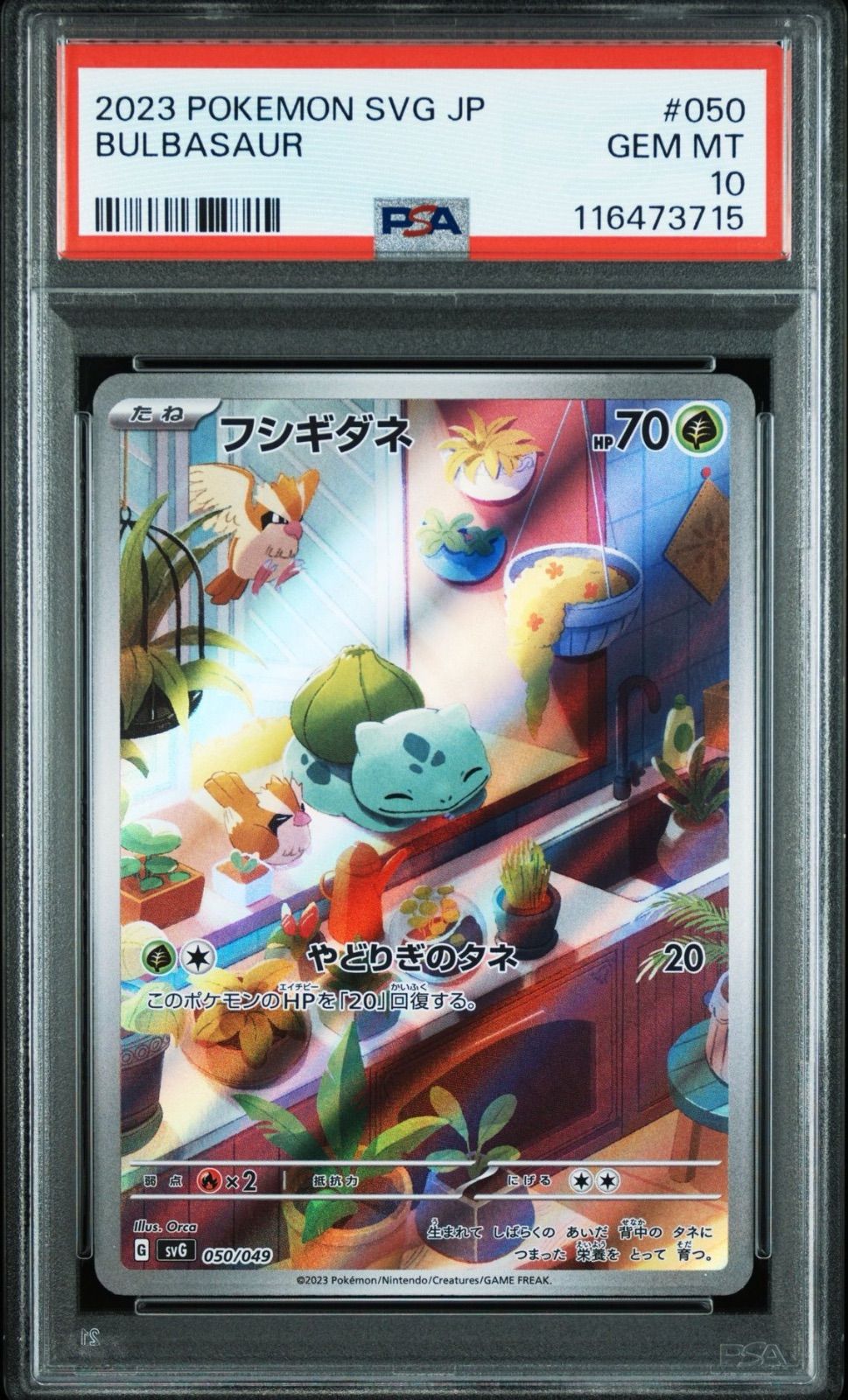 17) PSA10 3連番 フシギダネ ヒトカゲ ゼニガメ AR PSA10 3連番