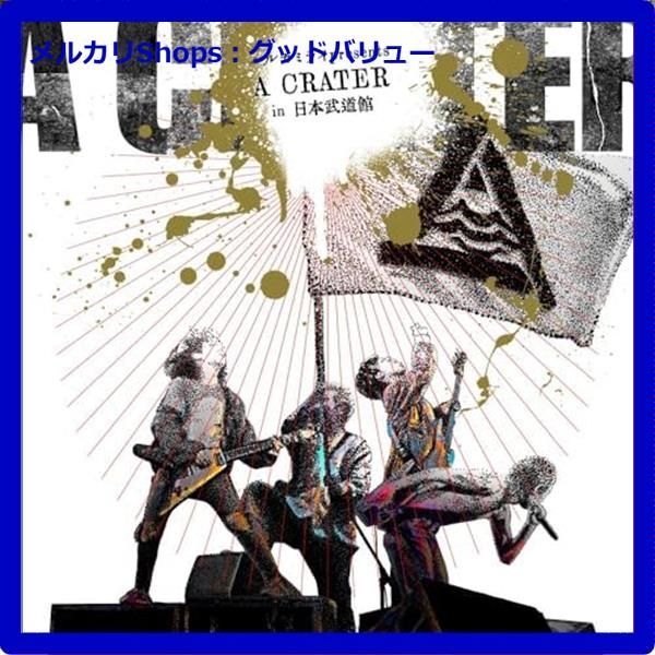 ハルカミライ シュリンク付き 「ヨーロー劇場 - futures -」 DVD