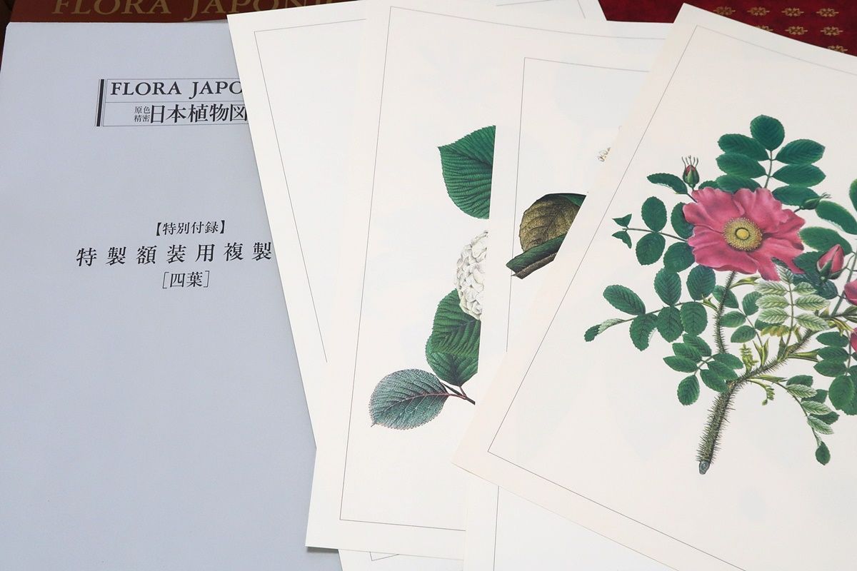 原色精密・日本植物図譜/シーボルト・フロラ・ヤポニカ/定価43000円