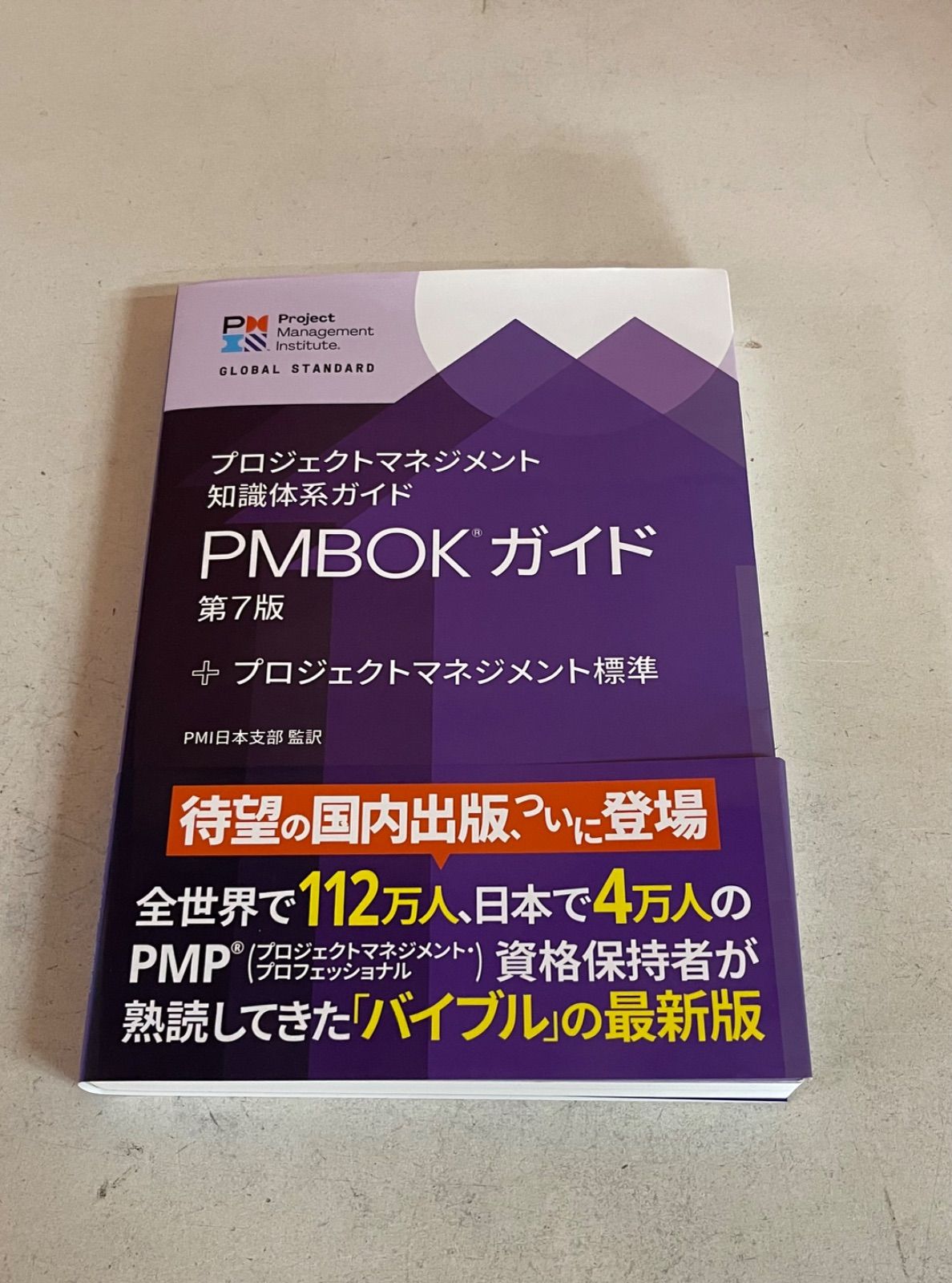 プロジェクトマネジメント知識体系ガイド（PMBOKガイド）第7版 - メルカリ