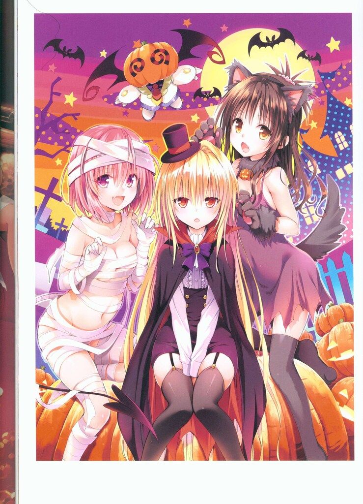 集英社 愛蔵版コミックス 矢吹健太朗 To Loveる-とらぶる-ダークネス