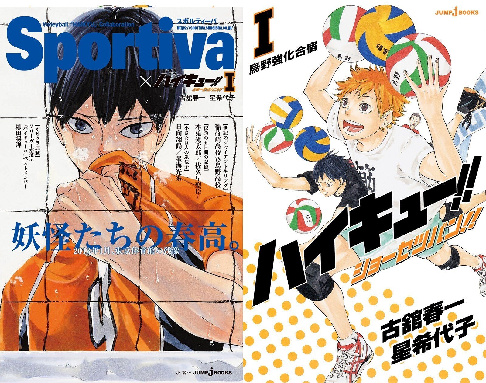 ハイキュー 漫画 マンガ 全45巻 ショーセツバン 全13冊ゴミ捨て場の