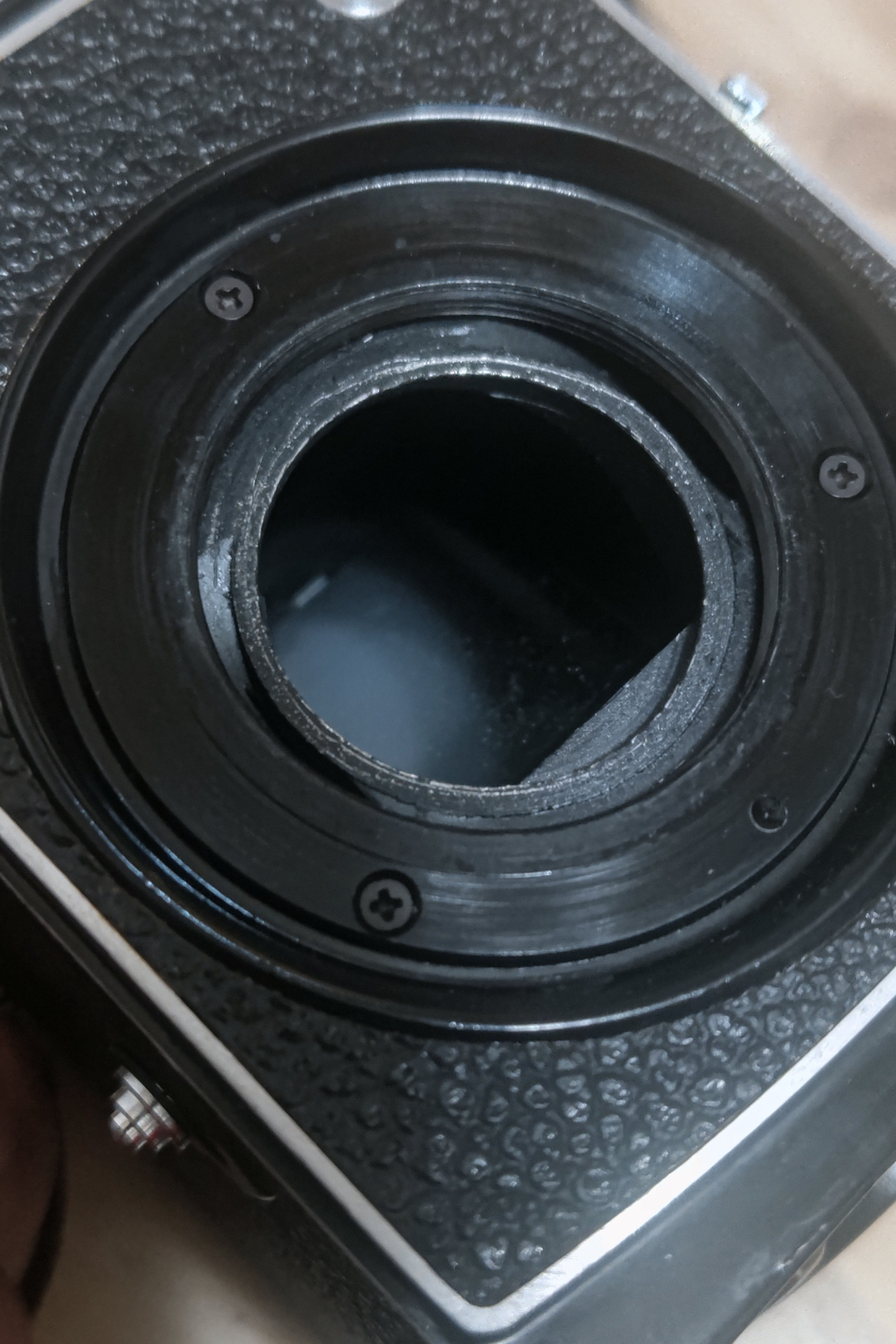 kazのこんなカメラ㉗ Greatwall (長城) DF-5｜kaz@Pinguist!