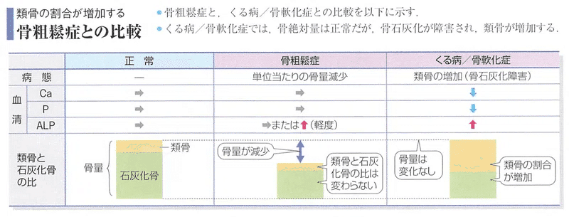 整形外科専門医試験2025年第37回問1｜Drひろひろ@整形外科専門医試験対策