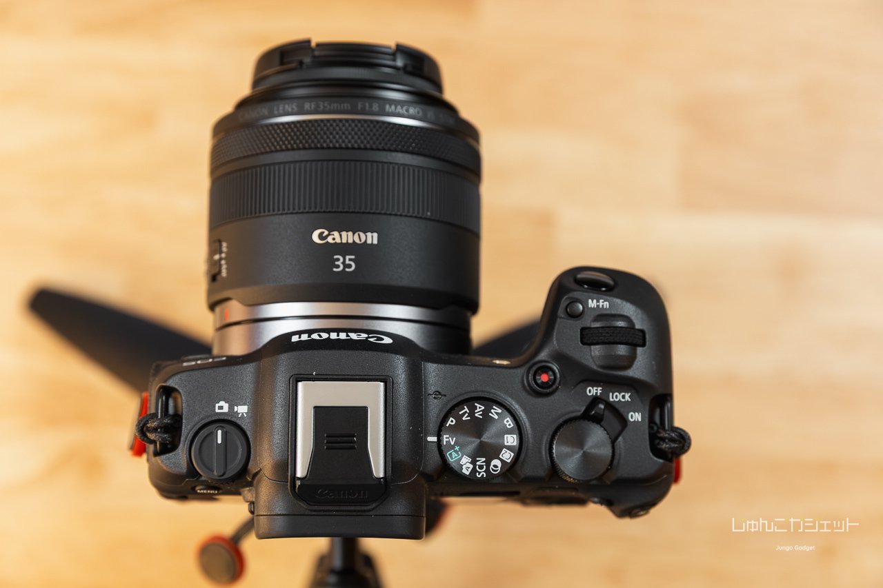 EOS R8におすすめのレンズ3選 | 撮るのが楽しくなるRFレンズたち