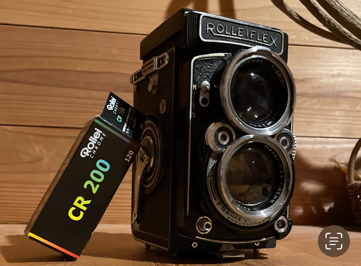 70年前の二眼レフカメラ・ローライフレックスで春を写す｜Sampo（山帆）