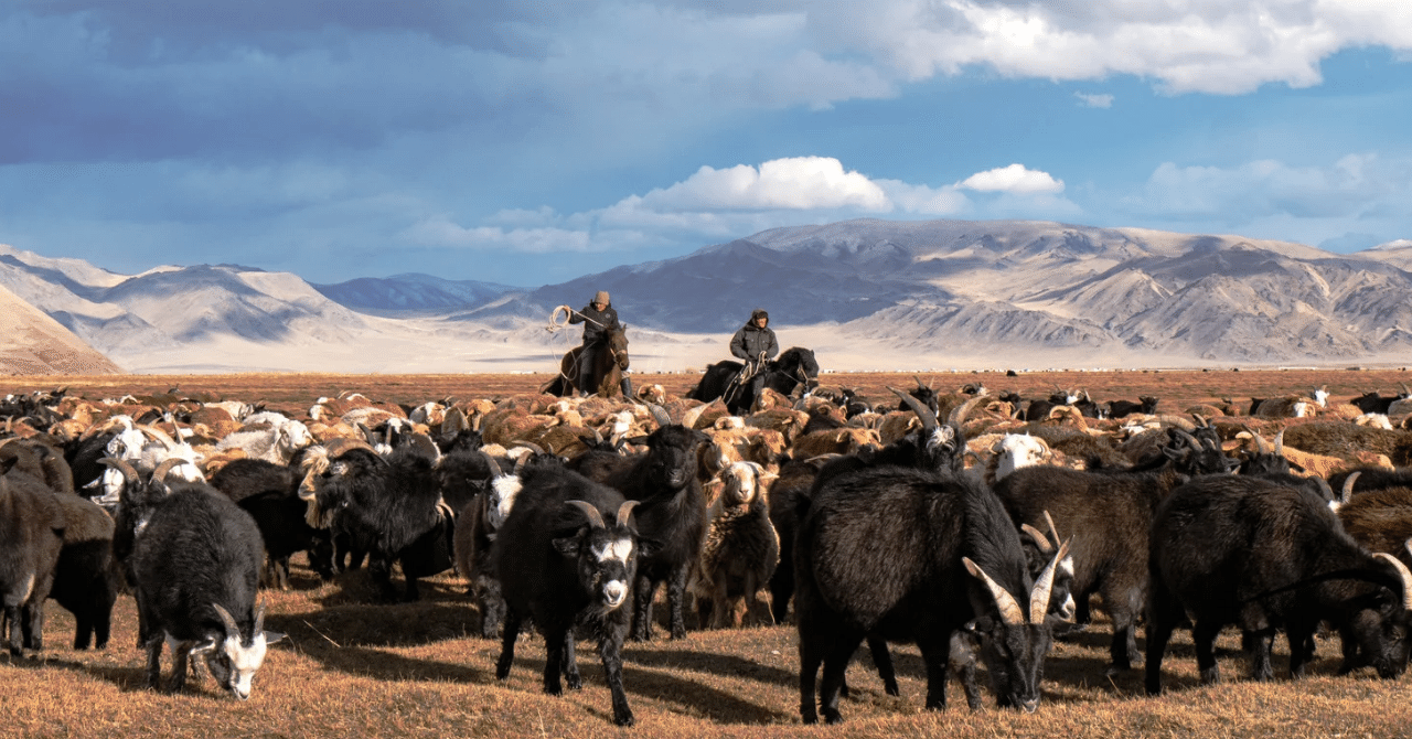 🇰🇿カザフスタン～自由な遊牧民の国～🏇｜ともき