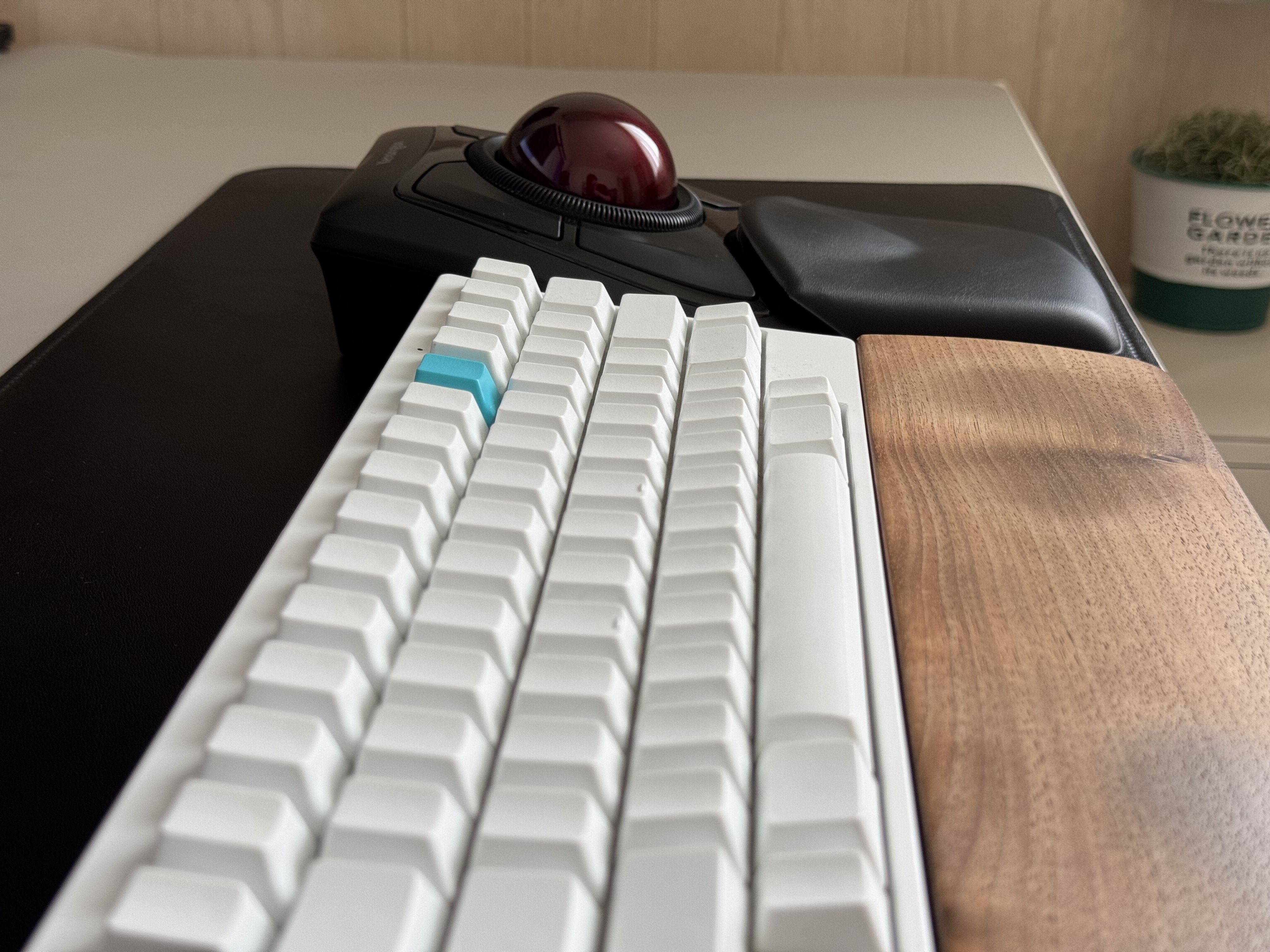 トラックボール ｜ Kensington ExpertMouseの魅力を語ろう｜KK