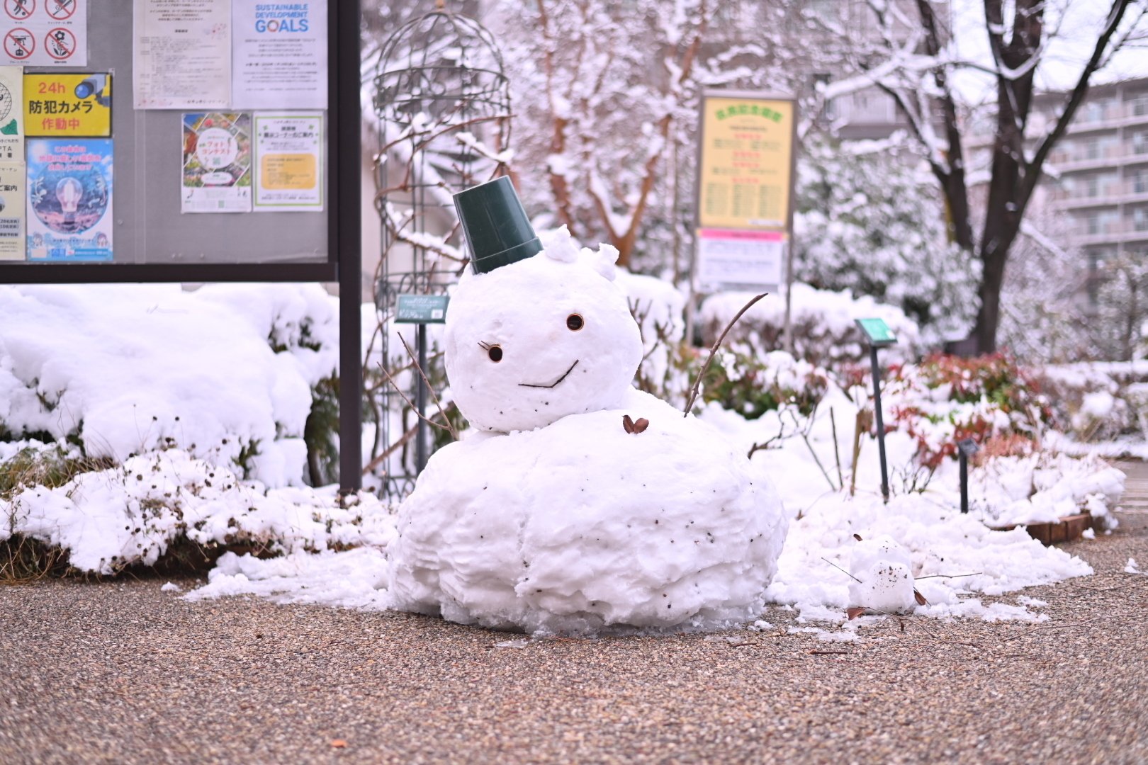 2026、雪降る東京｜mitsuki sora