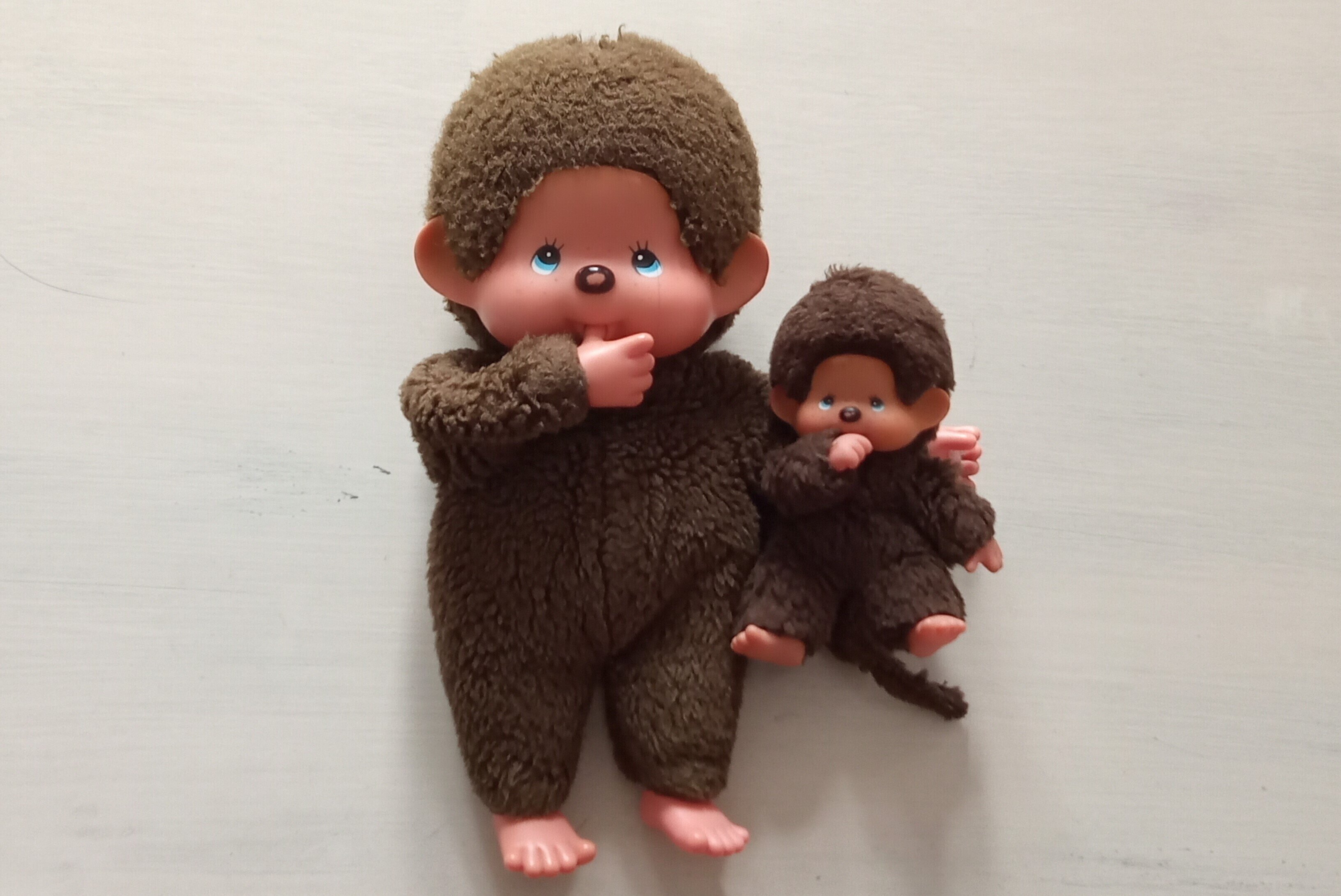 レア モンチッチ ペア 青い瞳 希少 レア モンチッチ ペア 青い瞳 希少