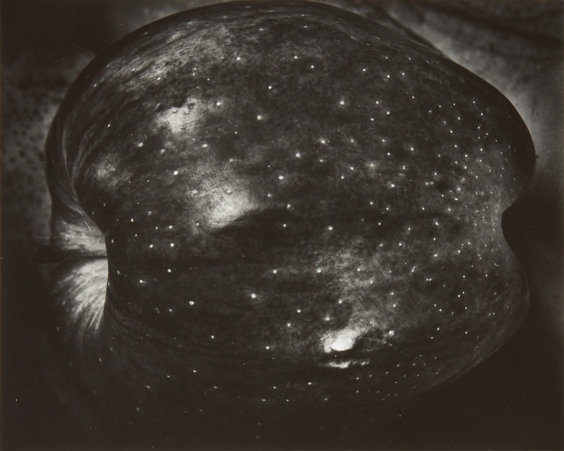Paul Caponigro The Eye That Shapes: Further Selections from the