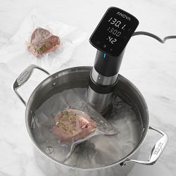 Anova Precision Pro Sous Vide Cooker | Williams Sonoma