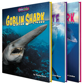 Hammerhead Shark - Bearport Publishing