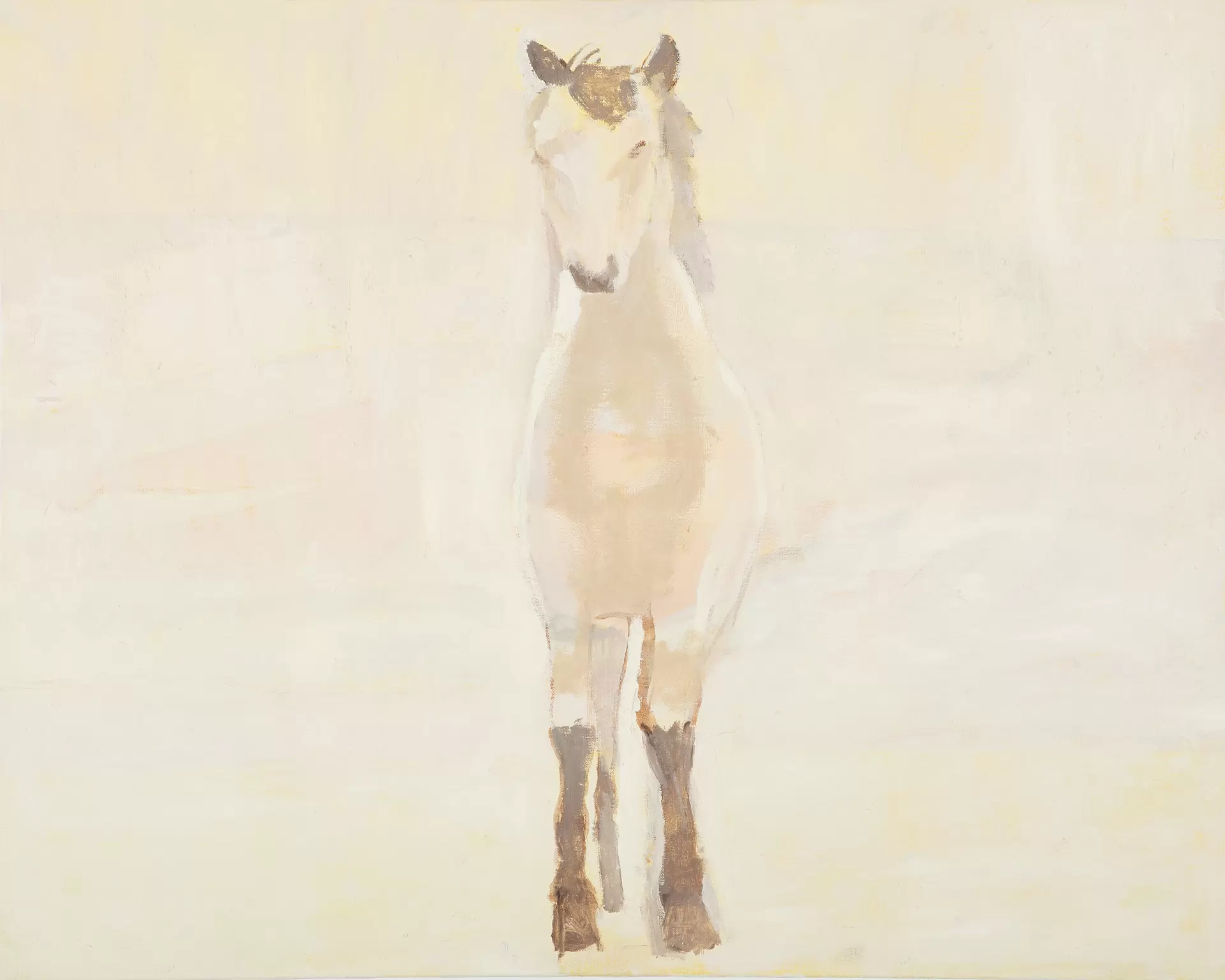 黒坂 麻衣「My little Creatures」 | ArtSticker