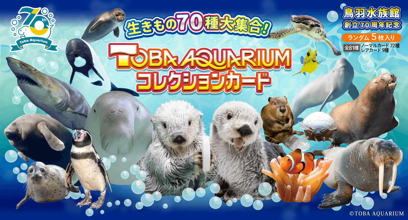 TOBA AQUARIUMコレクションカード」販売決定！ | 鳥羽水族館 公式サイト