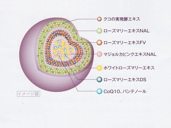 ナガセ ビューティケァ 健康食品 化粧品 通信販売 アルカンジュ