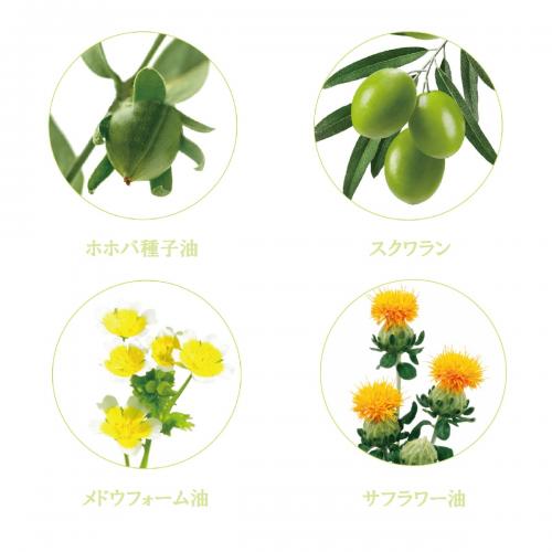 ナガセ ビューティケァ 健康食品 化粧品 通信販売 アルカンジュ