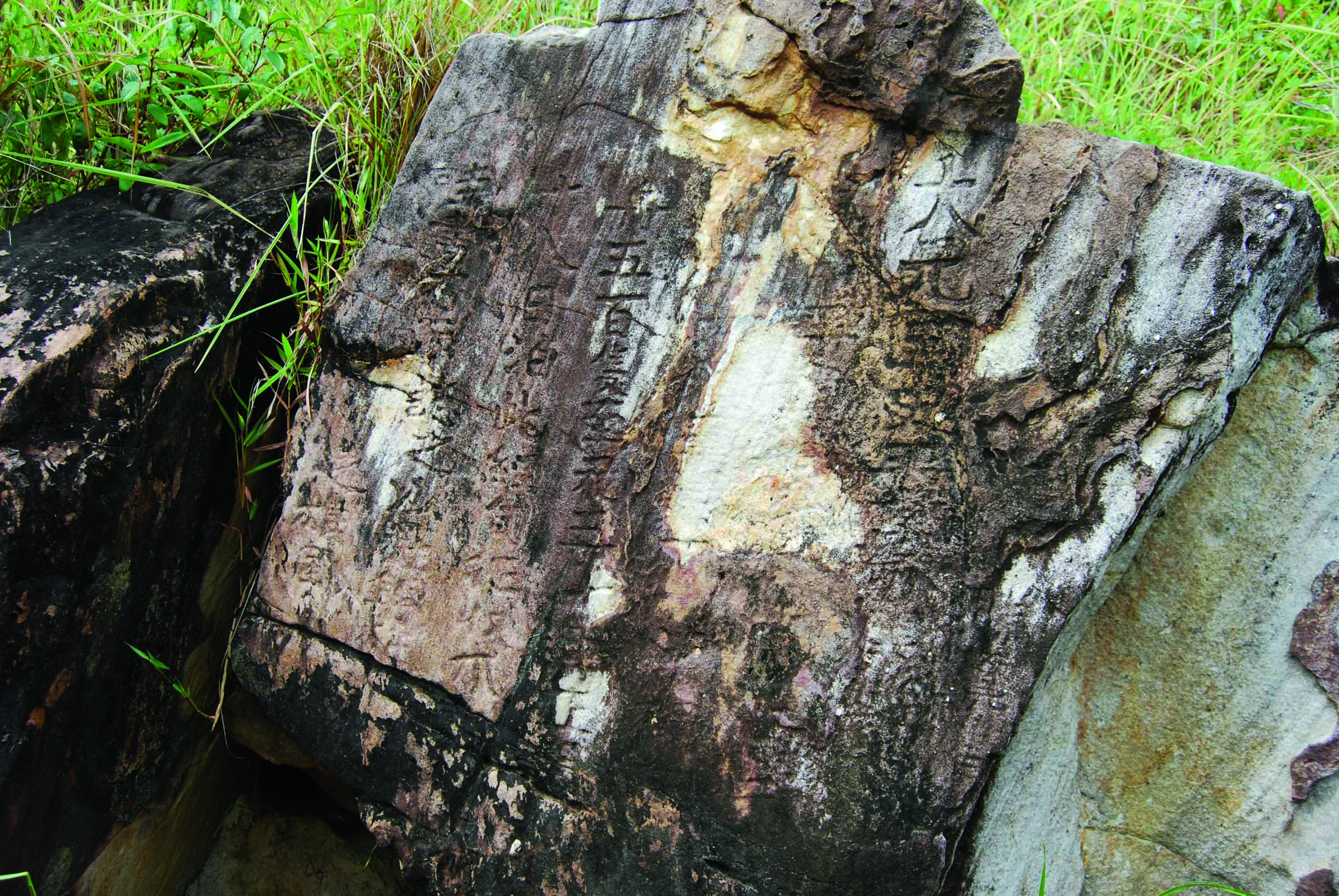 News - Indonesia's Tiny Pleistocene Shell Beads Studied