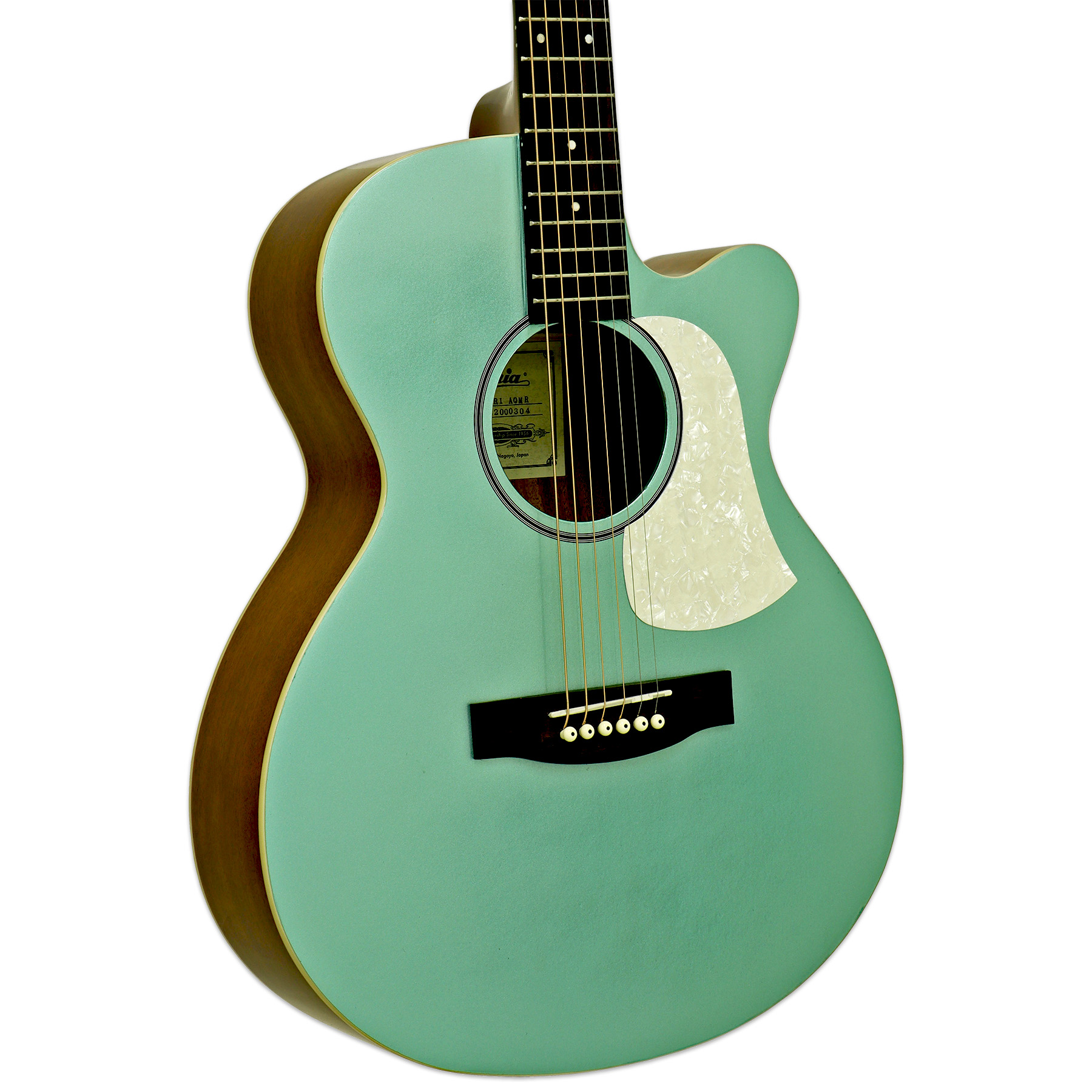 FET-R1 - Aria Guitars - Electric, Acoustic, Classical Guitars and Bass